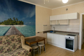 КВАРТИРА-СТУДИЯ